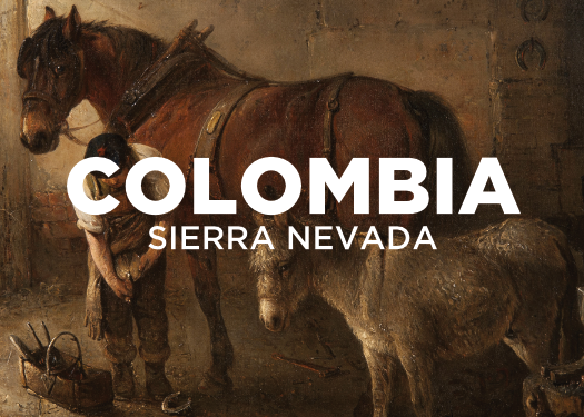 Vintage-style painting of a man with a horse and donkey in a rustic setting, with 'Colombia Sierra Nevada' text overlay.