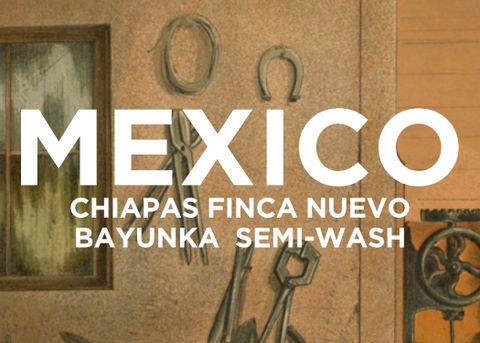 Text overlay on a rustic background with farrier tools and 'MEXICO CHIAPAS FINCA NUEVO BAYUNKA SEMI-WASH ' text overlayed.