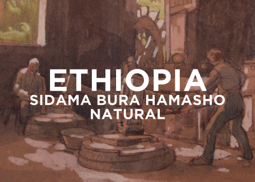 Ethiopia Sidama Bura Hamasho Natural