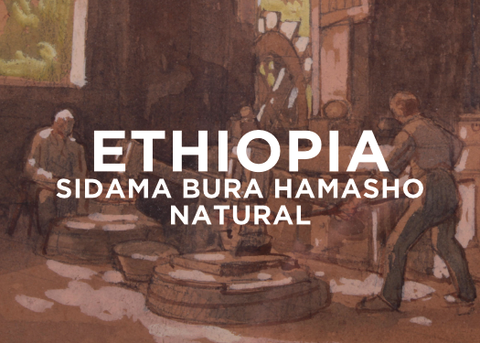 Ethiopia Sidama Bura Hamasho Natural