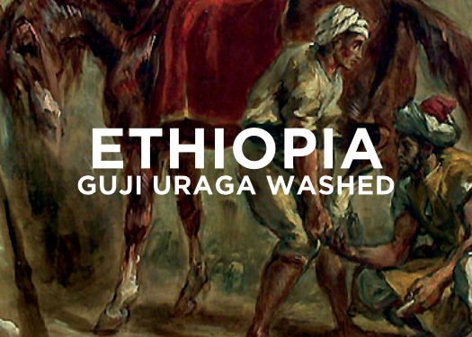 Ethiopia Uraga Washed