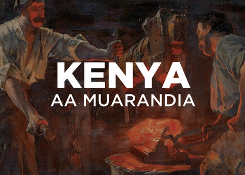 Kenya AA Murarandia Factory