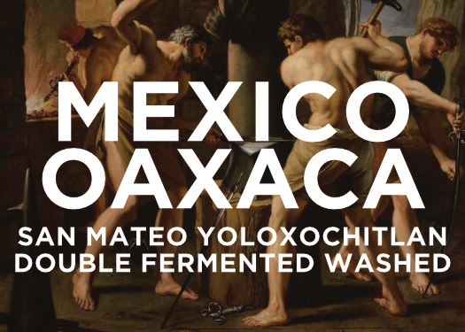 Mexico Oaxaca San Mateo YOLOXOCHITLAN