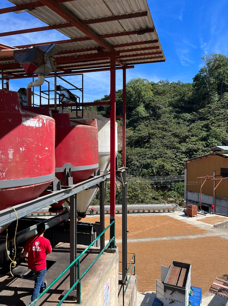 Red industrial tanks under a metal roof with a person in a red shirt walking by, surrounded by greenery and raw coffee drying on patios.