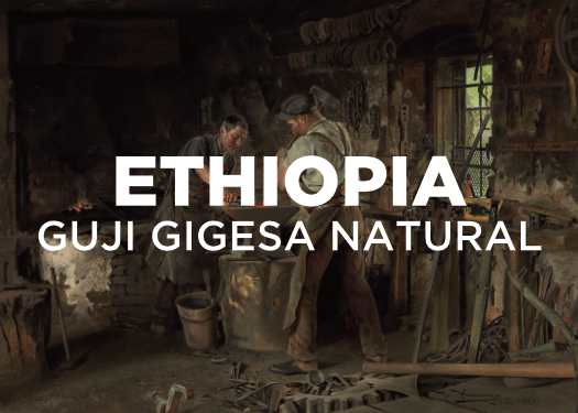 ETHIOPIA GUJI GIGESA NATURAL PROCESS