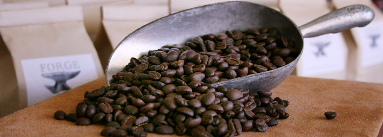 Image of a metal scooper filled with coffee beans, bags of coffee in the background.